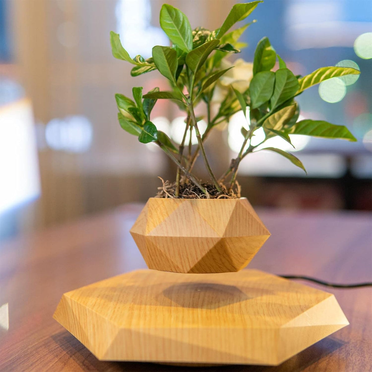 Levitation Air Bonsai Pot, Magnetic Levitating Mini Rotating Flower Pot Planter Suspension Floating Succulents Sky-Garden Plant Potted for Home Living Room Office Desk Decoration (Wood Color)