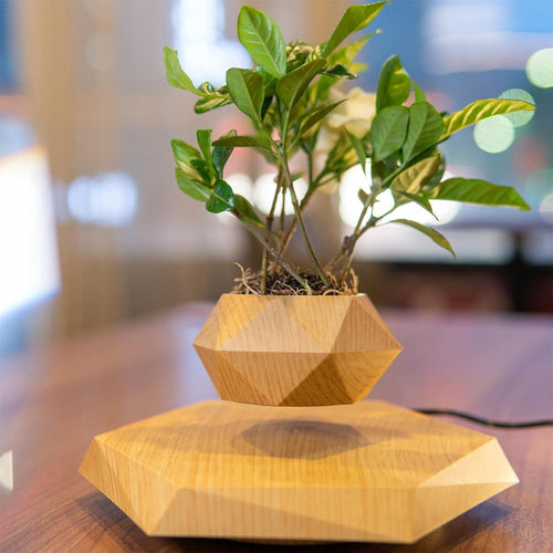 Levitation Air Bonsai Pot, Magnetic Levitating Mini Rotating Flower Pot Planter Suspension Floating Succulents Sky-Garden Plant Potted for Home Living Room Office Desk Decoration (Wood Color)